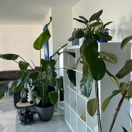 Moderne Daire *
